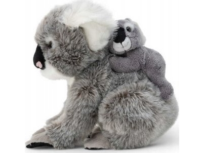 Dante Koala Mit Kind