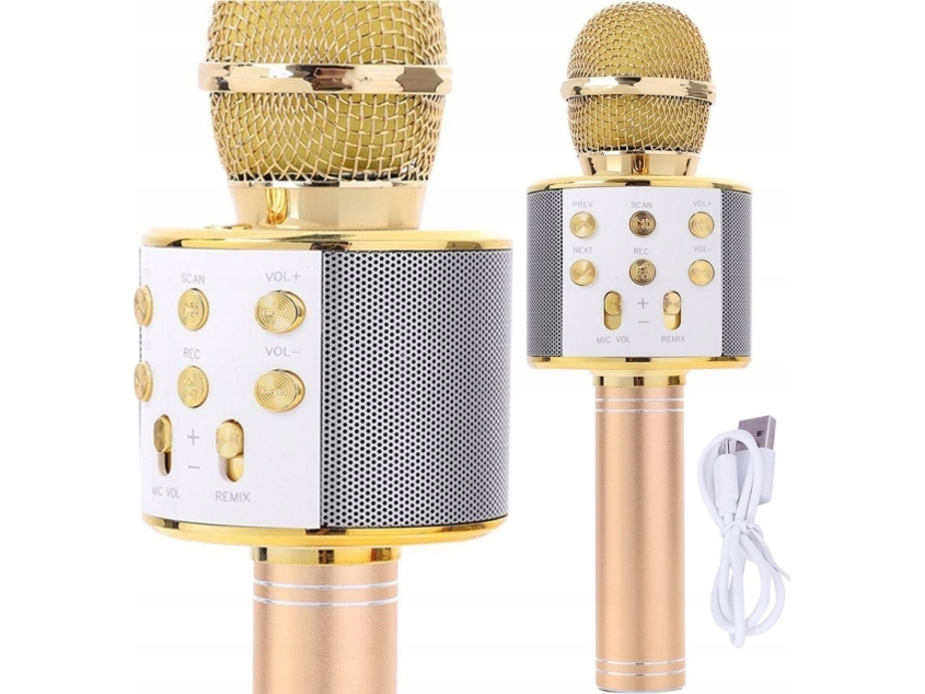 Gotel Q17D KARAOKE 2 MIKROPHONER OG HØJTALER