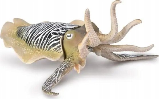 Collecta Figūrėlė - Paprastoji sepija