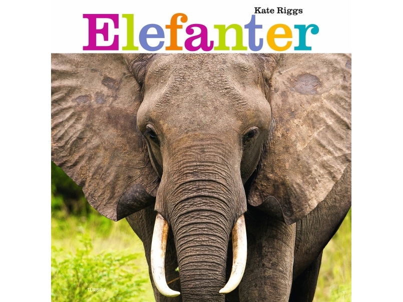 Elefanter | Kate Riggs