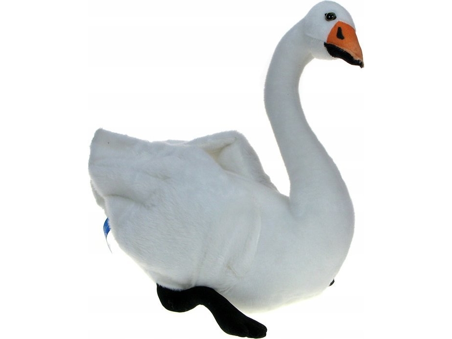 Dubi Abd 40cm