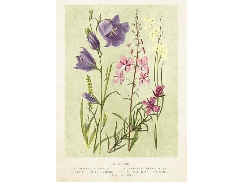 Skona Ting Carnet St447 B6 + Umschlag Feldblumen Im Frühling