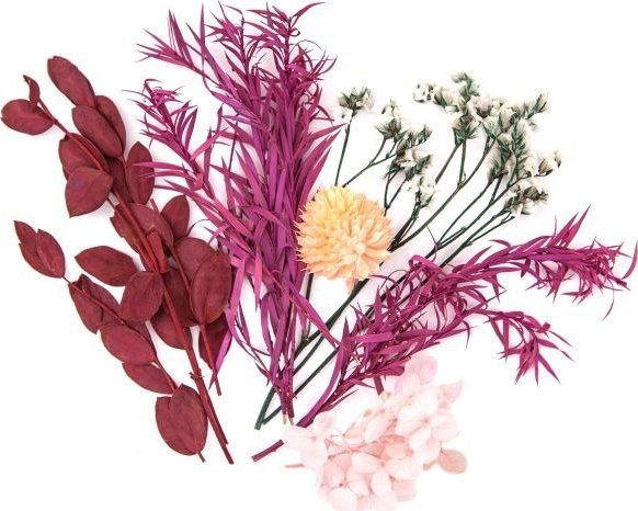Dp Craft Tørre Dekorative Blomster, Bordo, Rose