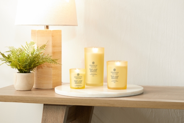 Chesapeake Bay Strength Energy Candle Three Wicks