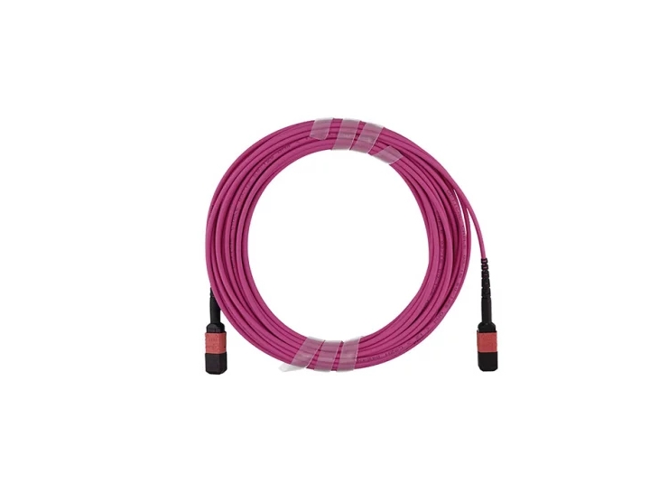 Blueoptics Je6e608qe8-Nb003m-Bo, 3 M, Om4, Mtp, Mtp