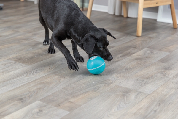 Trixie Snack Ball, Plastic, Ø 14 Cm, Blue