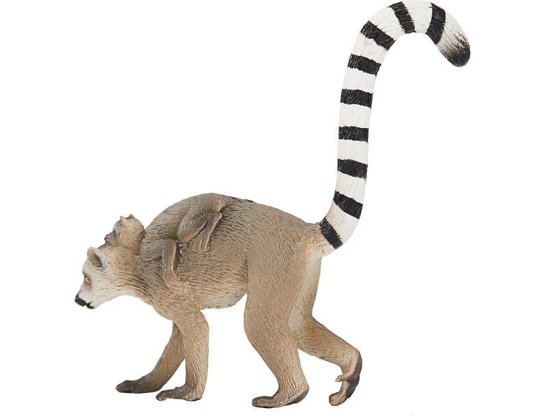 Mojo Lemur Mit Jungtier