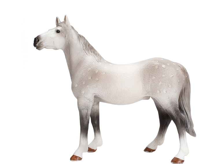 Mojo Orlov Traber Pferd