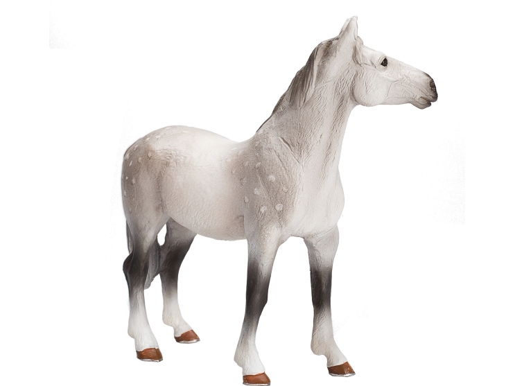 Mojo Orlov Traber Pferd
