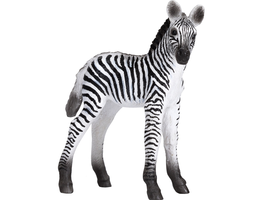 Mojo Zebra Føl