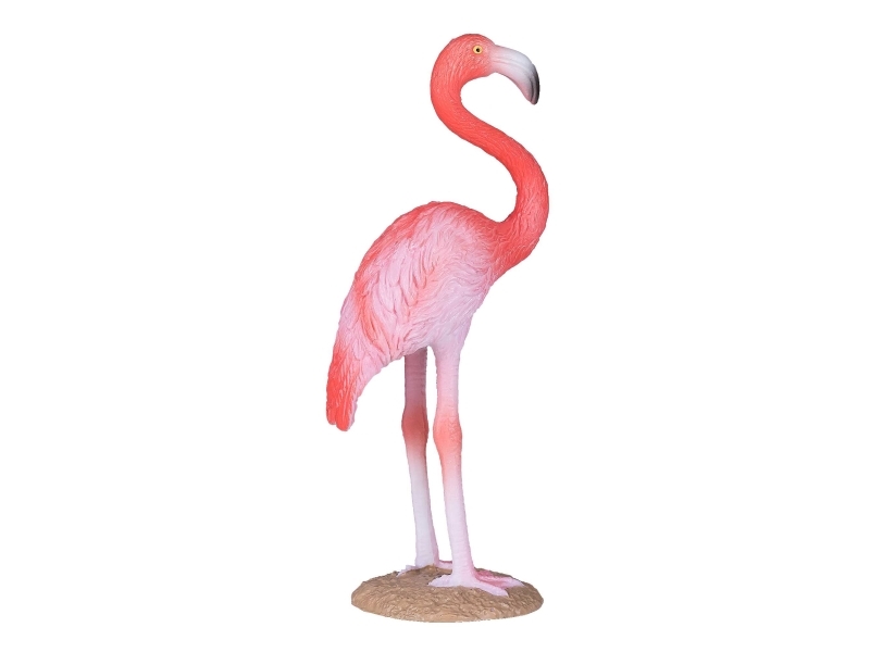 Mojo Amerikanischer Flamingo