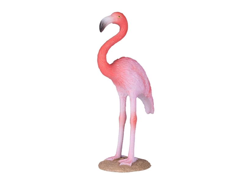 Mojo Amerikanischer Flamingo