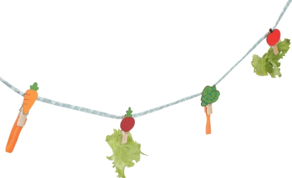 Zolux Neolife Hängeleine Für Leckerlis Für Kaninchen 150 Cm