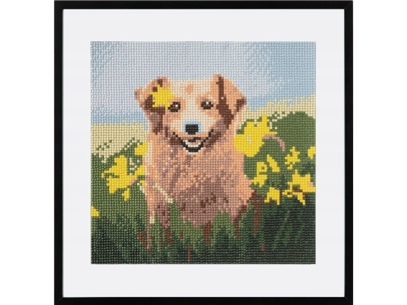Witek Home Diamantskæremotiv - Hund 30X30 Cm