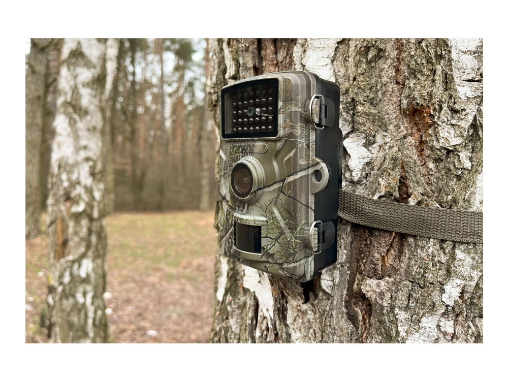 Technaxx TX-256 - Kamerafälla / 20.0 MP (interpolerat) - 1 080 p | Foto och video - Videoövervakning - Övervakningsutrustning | GameStuff