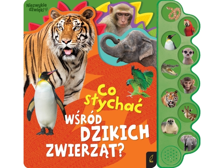 Foksal Co Słychać Co Słychać Wśród Dzikich Zwierząt?94765