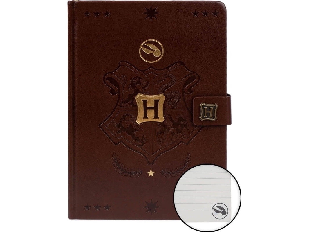 Pyramid Zeszyt A5 Notes Skórzany Harry Potter Quidditch