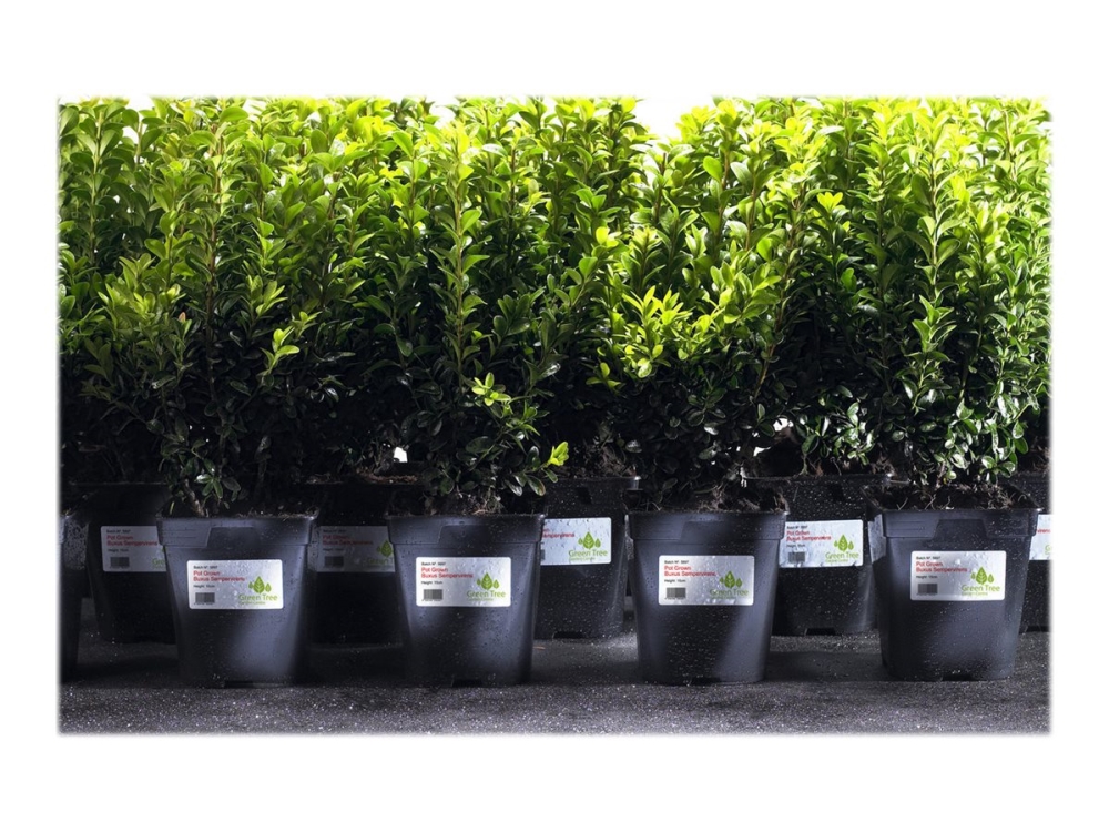 Avery L7060-20, Valkoinen, Itse kiinnittyvä tulostintarra, A4, Polyesteri, Laser, Suorakulmio