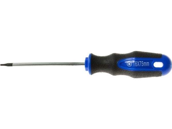 Geko Wkretak torx T6x75 mm GEKO (10/100)