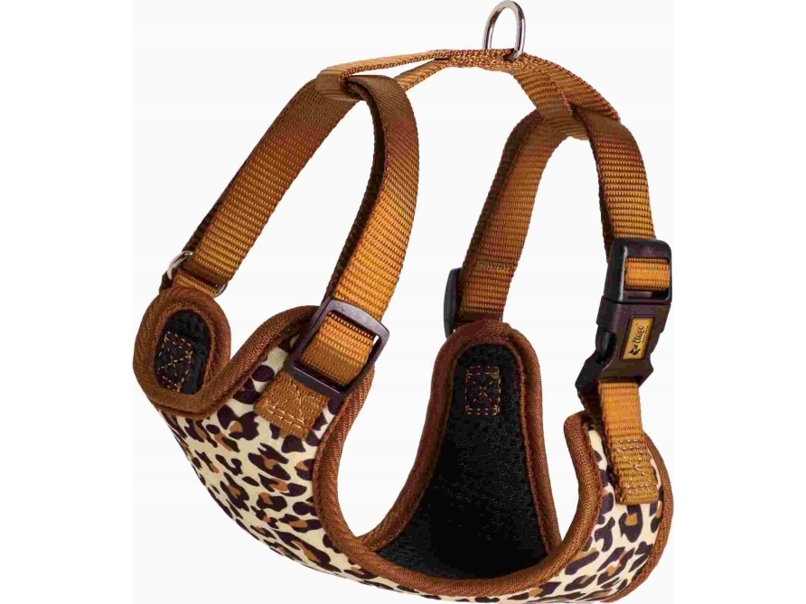 Dingo DINGO S 1.5cm/30-38cm LEOPARD JARRUT