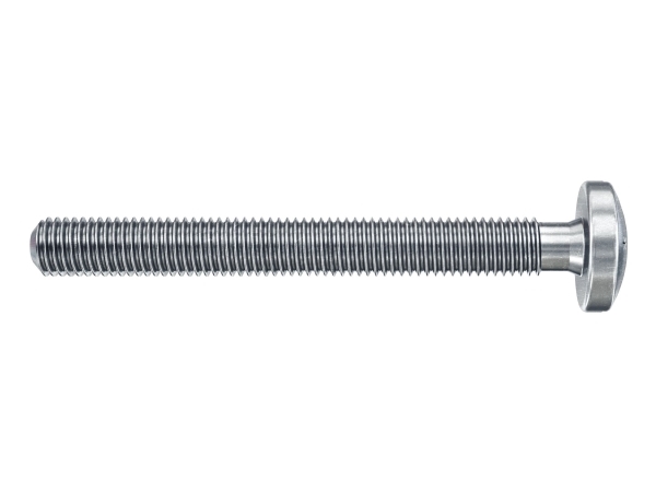 Fischer DuoHM 5 x 55 S PH TX, Vægstik, Grå, Torx, TX25, 5 mm, 55 mm