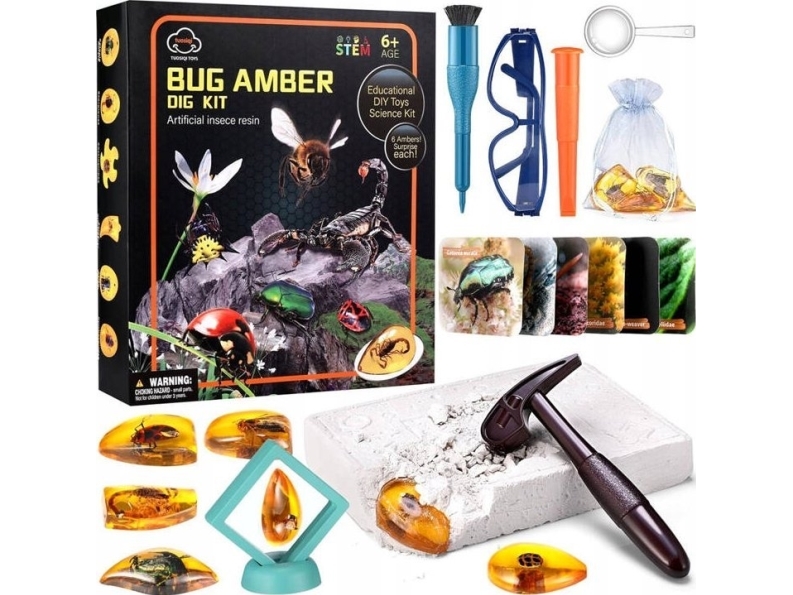 Jokomisiada Insekt fossil udgravning rav arkæolog ZA4725