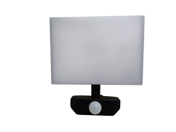 Standard Led-Flutlicht 30W 4000K 3279Lm Ip65 Pir