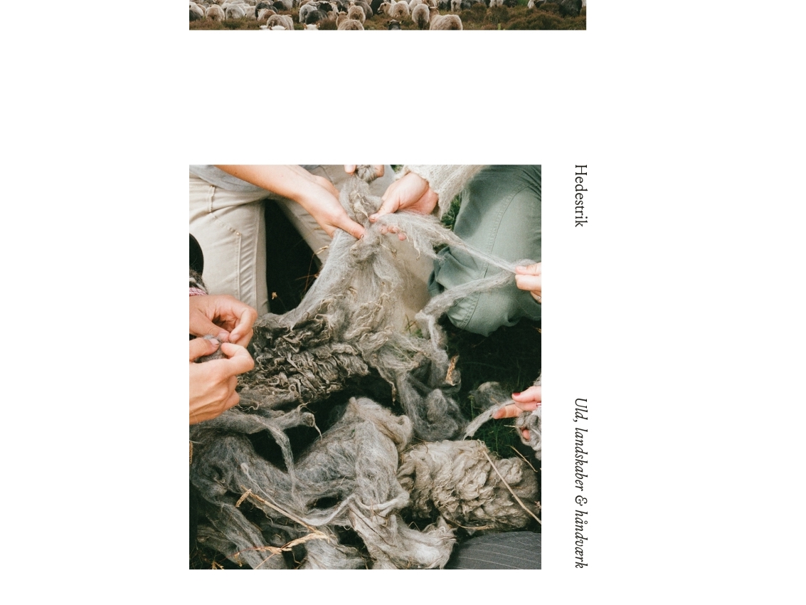 Hedestrik | Hedestrik