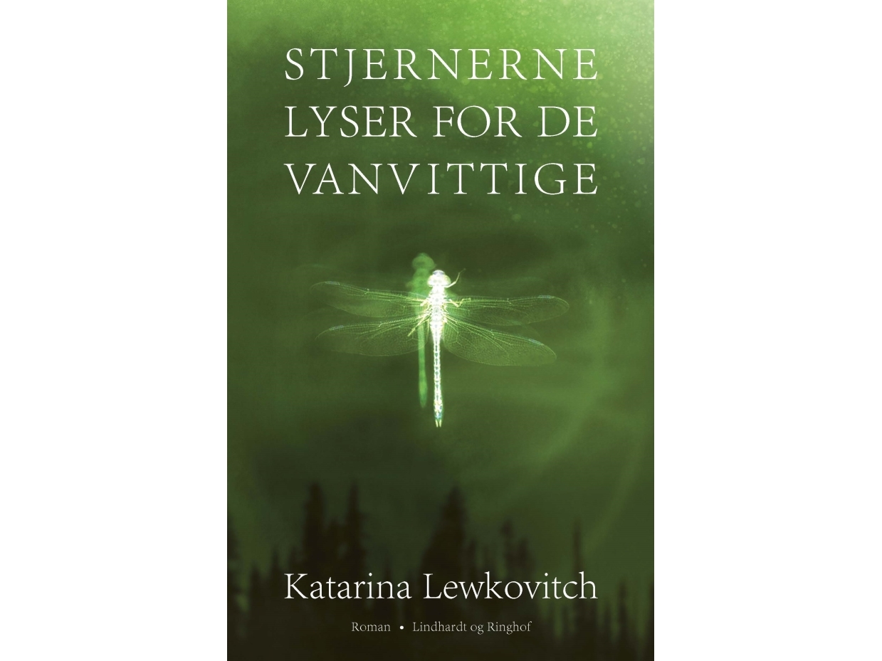 Stjärnorna lyser för de galna Katarina Lewkovitch Språk: Danska | Böcker - Skönlitteratur | GameStuff