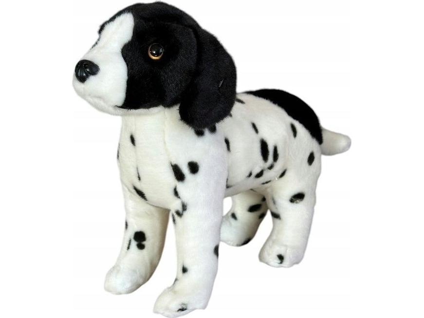 Dubi Englischer Vorstehhund Stehend 28Cm 32157
