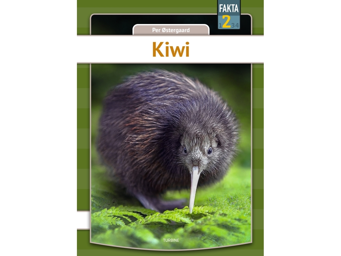 Kiwi | Per Østergaard