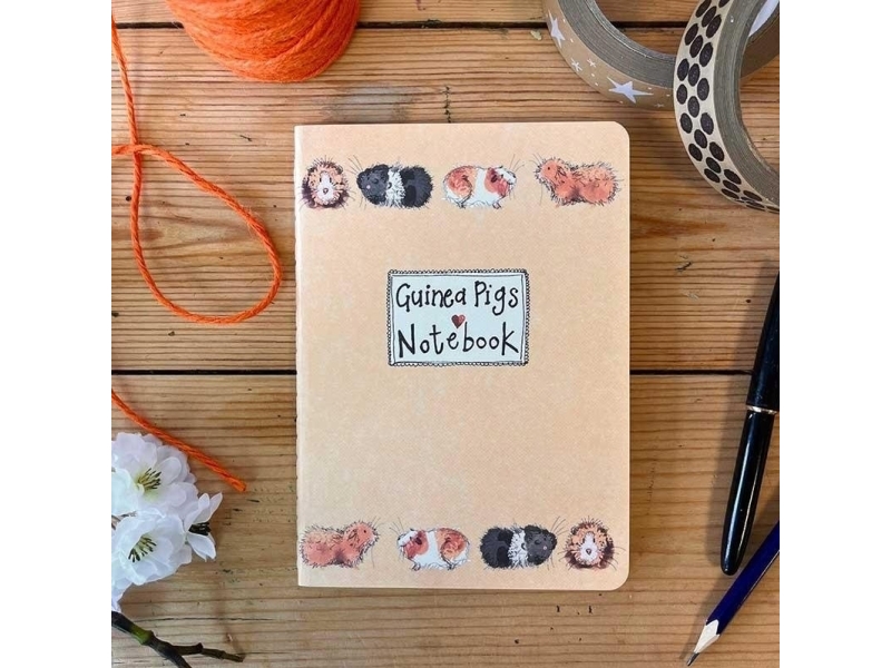 Teka Notebook 40k Linje Snm13 Marsvin