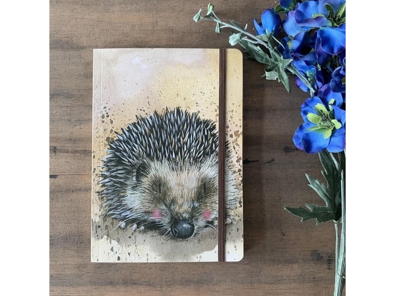 Notebook With Eraser Lcn14 Harriet The Hedgehog