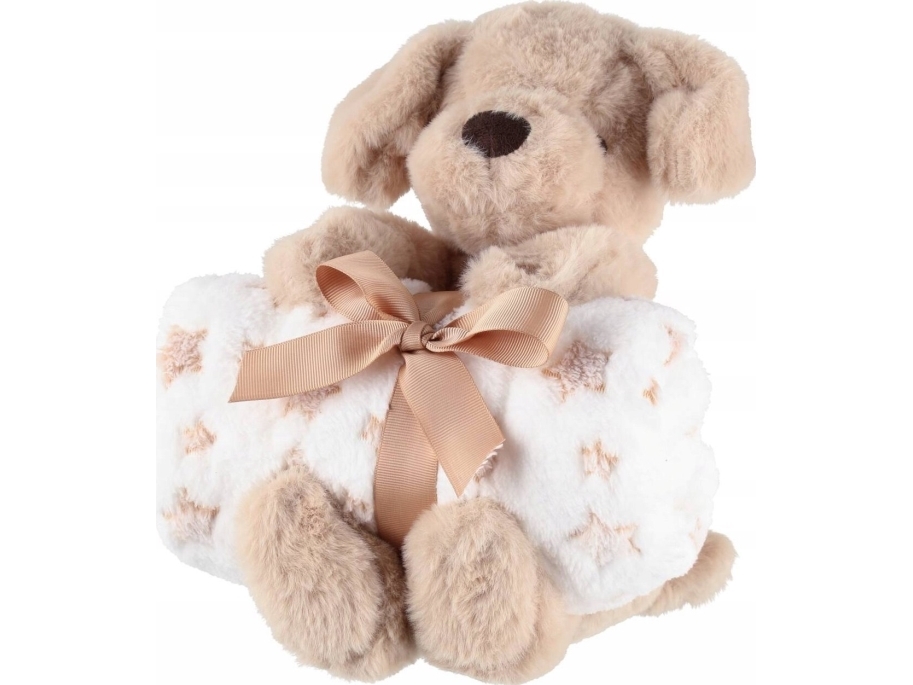 4Living 4Living Throw And Plush Teddybear 75X100 Cm