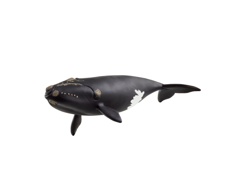 Schleich North Atlantic Right Whale
