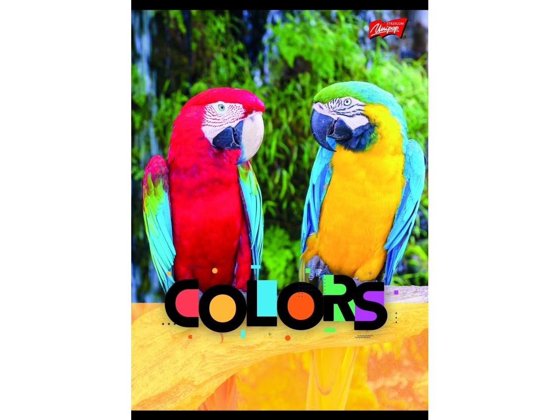 Majewski Zeszyt A5 32K Krata Laminated Exotic Colors P15, Mix Price Per 1 Piece