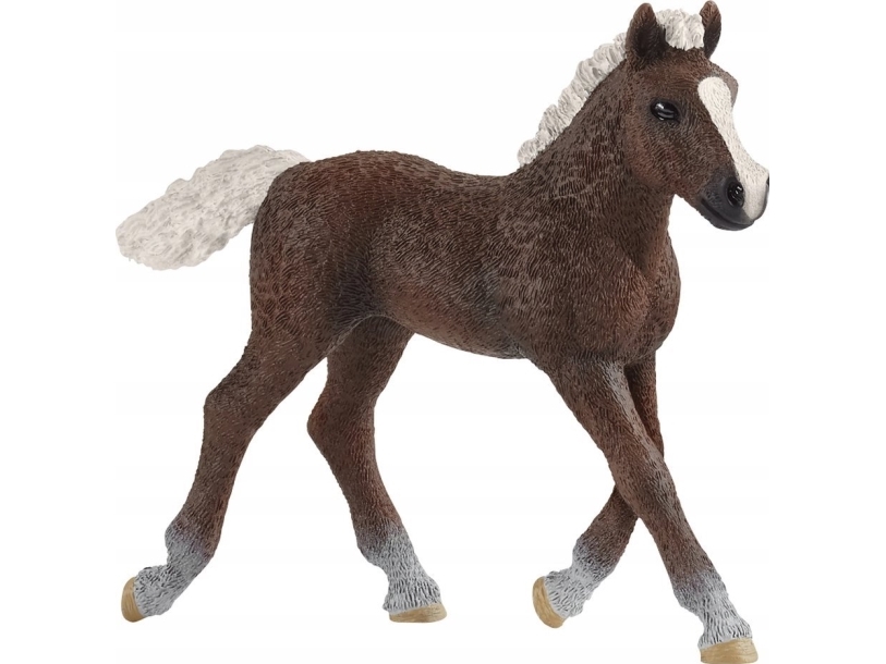 Schleich Figur Schleich 17077 Black Forest-Føl