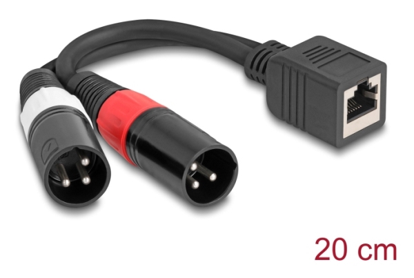 Delock - Lyd Adapter - Xlr3 Han Til Rj-45 Hun - 20 Cm - Sort