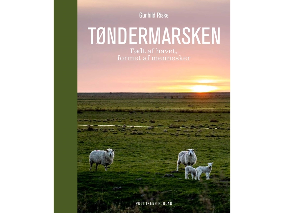 Tøndermarsken | Gunhild Riske