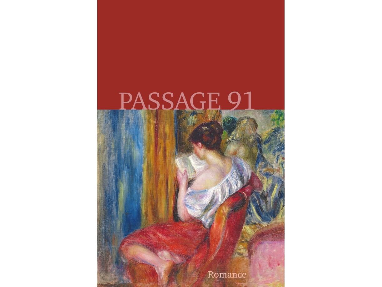 Passage 91 | Janice Radway, Elin Abrahamsson, Camilla Schwartz, Sara Tanderup Linkis, Karl Berglund, Tuva Haglund Og Mark Mcgurl