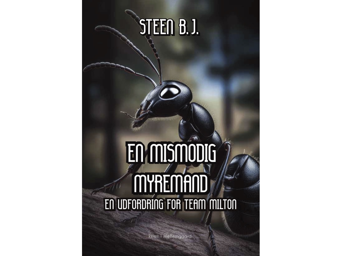 En Mismodig Myremand | Steen B.J.