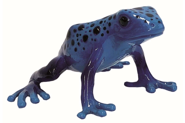 Poison Dart Frosch Azureus 6,1X2x504cm