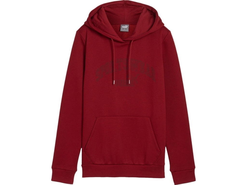 Puma Damen Sweatshirt Puma Ess Logo Lab Hoodie Fl Kastanienbraun 682987 13 L