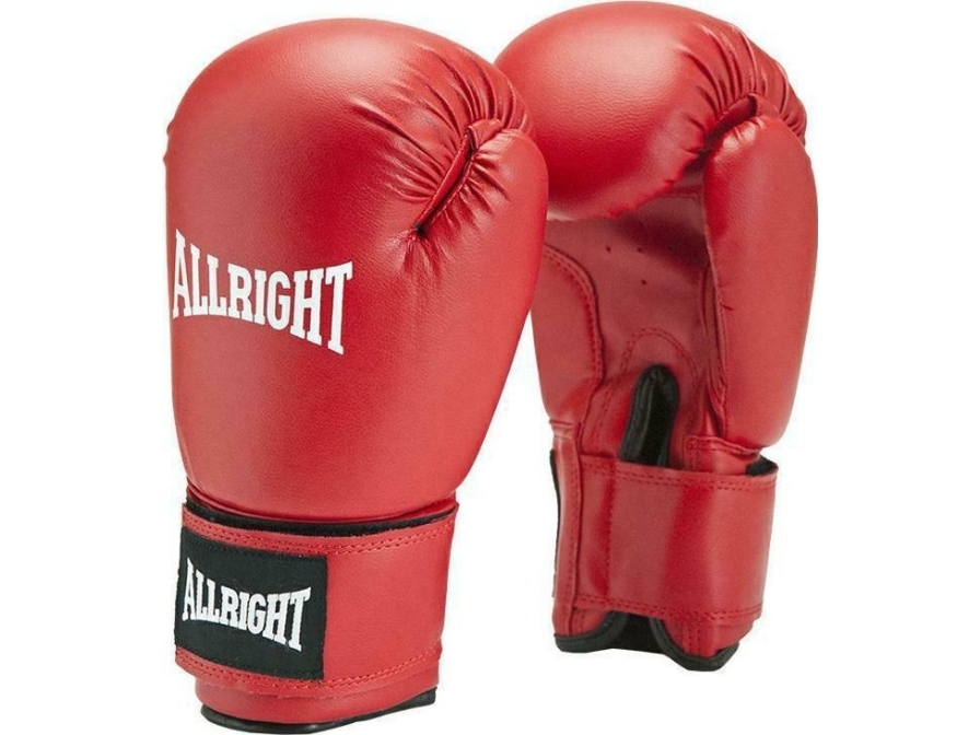 Training Pro Boksehansker 10Oz Universal
