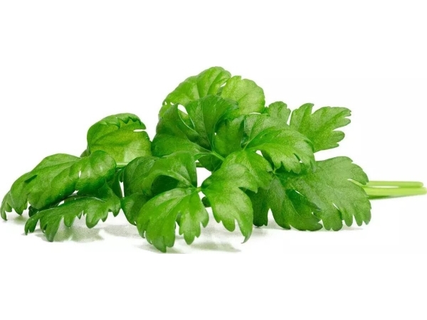 Click And Grow Click &amp Grow Frön för Smart Pot - Selleri (SGR97X3) 3st. | Trädgården - Jord & Växter - Frön & lök | GameStuff