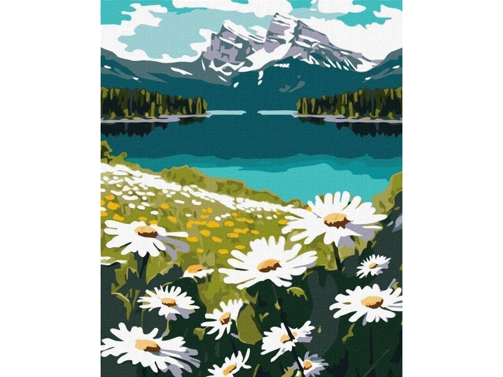 Painting By Numbers - Blooming Daisies 40X50cm