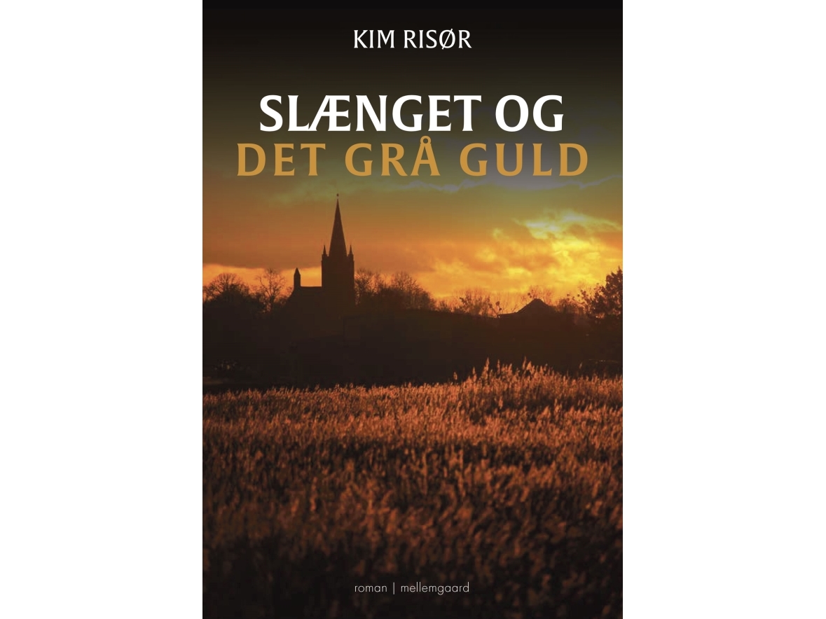 Die Bande Und Das Graue Gold | Kim Risør | Sprache: Dänish