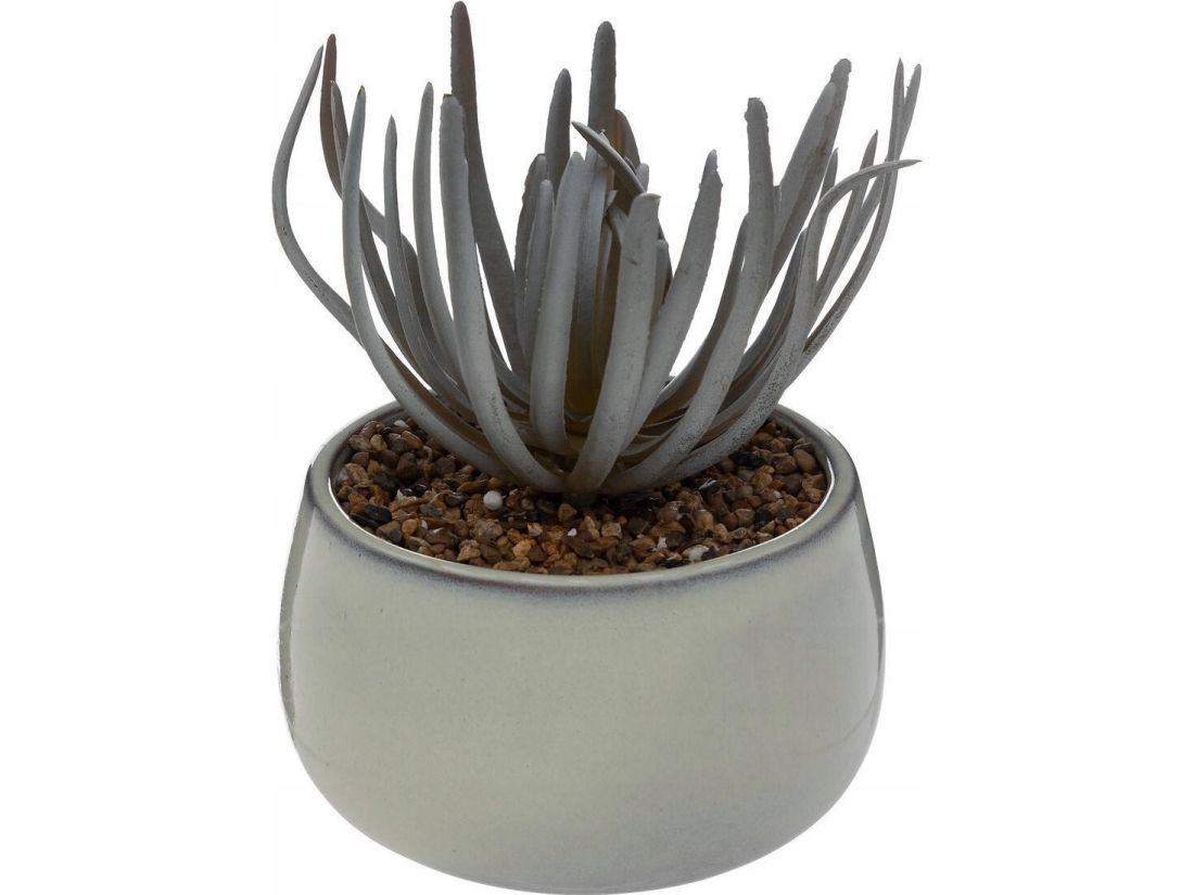 Atmosphera Kunstig sukkulent i CAF-potte, højde 18 cm