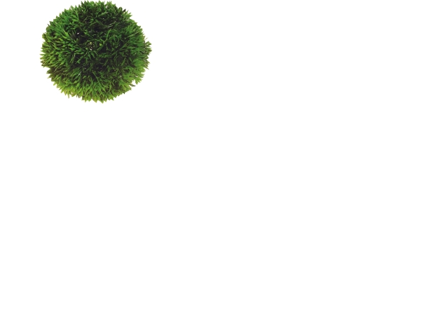 Dohse Plant Ball, 9 cm