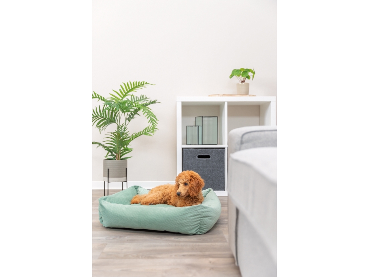 Trixie Alena säng, fyrkantig, 60 × 50 cm, salvia | Sällskapsdjur - Hund - Hundens sovplats | GameStuff